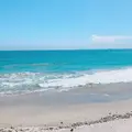 吉佐美大浜海水浴場の写真_543702