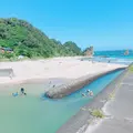 吉佐美大浜海水浴場の写真_543703