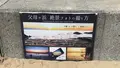 父母ヶ浜海岸の写真_544389