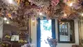 Seasonal Stand（シーズナルスタンド）の写真_544408