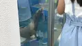 四国水族館の写真_544434