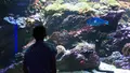 四国水族館の写真_544440