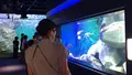 四国水族館の写真_544445