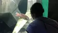四国水族館の写真_544446