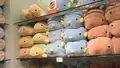 四国水族館の写真_544454