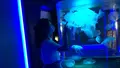 四国水族館の写真_544457
