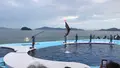 四国水族館の写真_544458