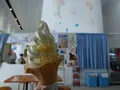 鶴岡市立加茂水族館（クラゲドリーム館）の写真_544527