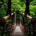 祖谷渓の小便小僧の写真_544645