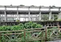 Agenna Shipyard Relicsの写真_545635