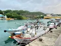 阿本活海産の写真_545640