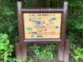 信州信濃町 癒しの森の写真_547416