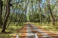 唐津城の写真_547593