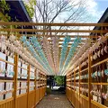 川越氷川神社の写真_547807