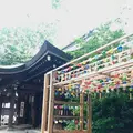 川越氷川神社の写真_547808