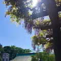 川越大師 喜多院の写真_547864