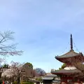 川越大師 喜多院の写真_547866