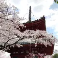 川越大師 喜多院の写真_547868
