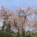 中院の写真_547877