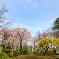 中院の写真_547880