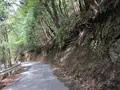 嵐山の写真_547897