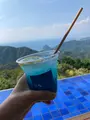 伊豆の国パノラマパークの写真_548298