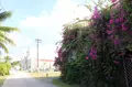 聖ヨゼフカトリック教会の写真_548651