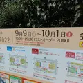 大通公園の写真_549152