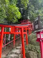 天開稲荷大明神 奥の院の写真_549304