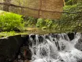 貴船右源太の写真_549346