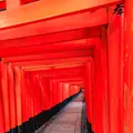 伏見稲荷大社の写真_549350