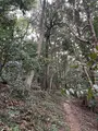 伯耆國一之宮 倭文神社の写真_549590