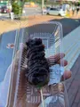 佐野SA (上り)の写真_550211
