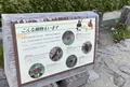 室堂平の写真_551069