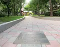 朝陽茶葉公園の写真_551129