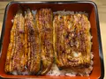 よし田 うなぎの写真_551257
