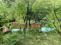 泡の湯旅館の写真_551337