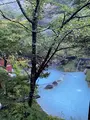 泡の湯旅館の写真_551338