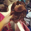 Moomin Shop Oyの写真_55194