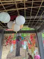 伏見稲荷神社の写真_552340