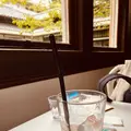  文化のみち橦木館（旧井元爲三郎邸）の写真_553015