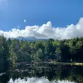 牛留池の写真_553055