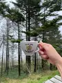コロボックルヒュッテの写真_553135