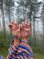 コロボックルヒュッテの写真_553136