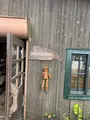 コロボックルヒュッテの写真_553137