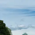 名古屋城の写真_553420
