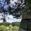 名古屋城の写真_553422