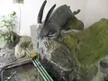 宇治神社の写真_55475
