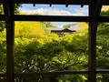 東福寺の写真_555145