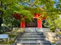 東福寺の写真_555150